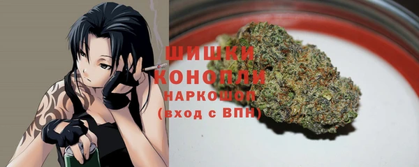 бошки Няндома