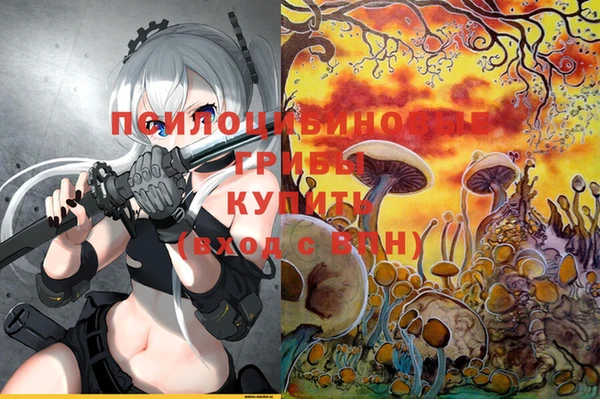 бошки Няндома