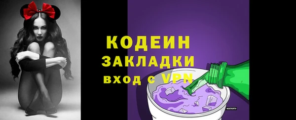 бошки Няндома