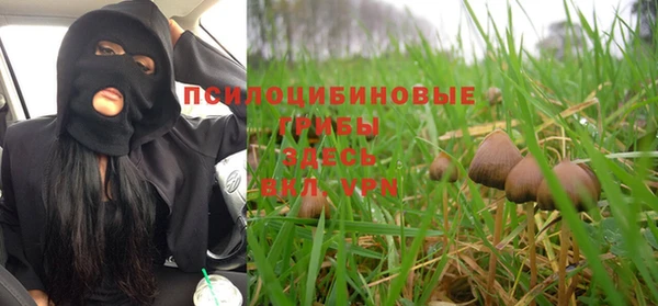 сатива Нягань