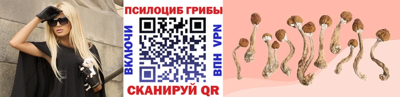 Галлюциногенные грибы мицелий  kraken ссылки  Ногинск 