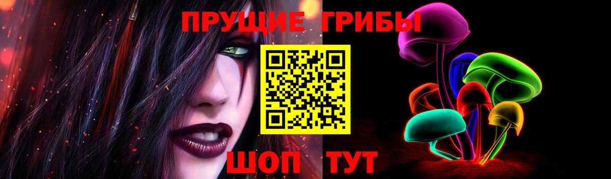 Галлюциногенные грибы Psilocybine cubensis  что такое   Ногинск  Вход с VPN 