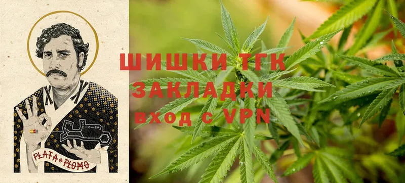 Канабис индика  наркошоп  Ногинск 